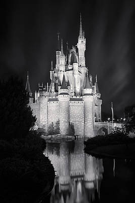  Disney World At Night