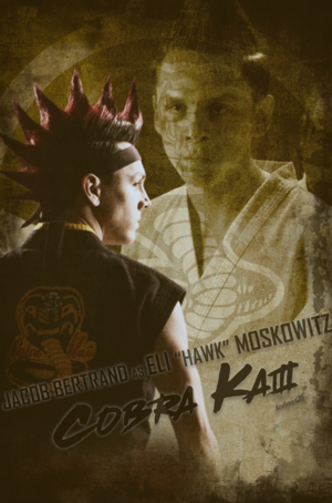  Eli 'Hawk' Moskowitz || ular tedung, cobra Kai || Season 3