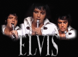  Elvis Gif 🧡