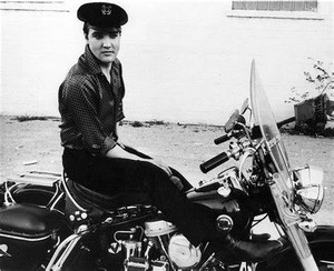  Elvis and Bikes 💛