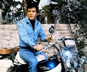  Elvis and Bikes 💛