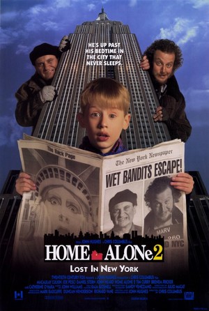  accueil Alone 2: Lost in New York (1992)