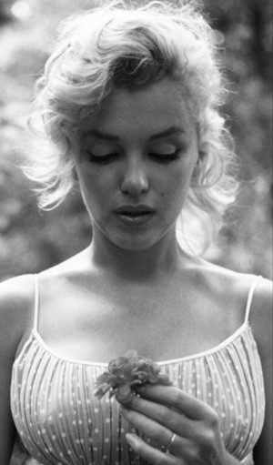 Marilyn ❤️