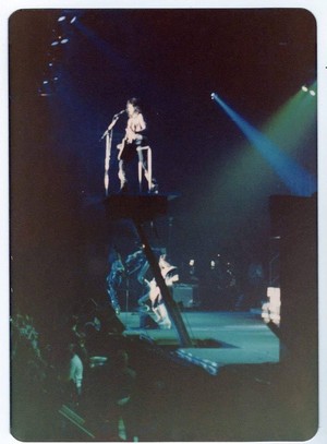  Paul ~Hollywood, Florida...January 3, 1978 (ALIVE II Tour)