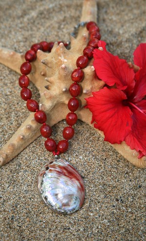 Sea Shell Beautiful Necklace