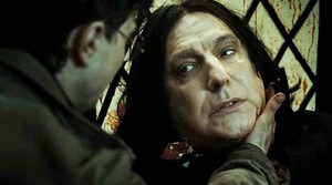  Snape and Harry