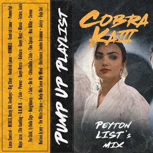  The cobra Kai pampu Up Playlist - Peyton List's Mix