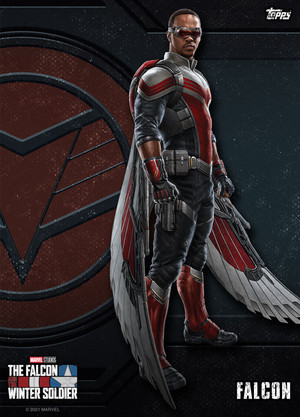  The helang, falcon And The Winter Soldier || helang, falcon || Sam Wilson