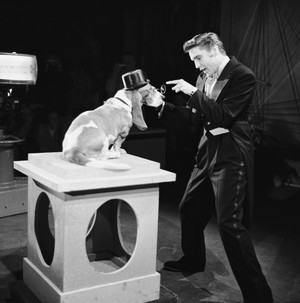  The Steve Allen Show 1956