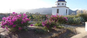  Valle de Guadalupe, Baja California