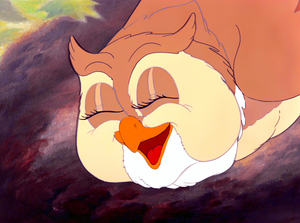  Walt 迪士尼 Screencaps - Friend Owl