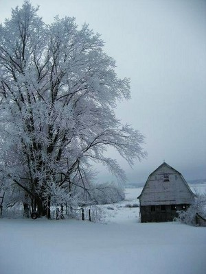  Winter on the Farm ❄️
