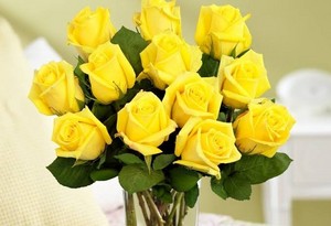  Yellow rose for Valentine's giorno