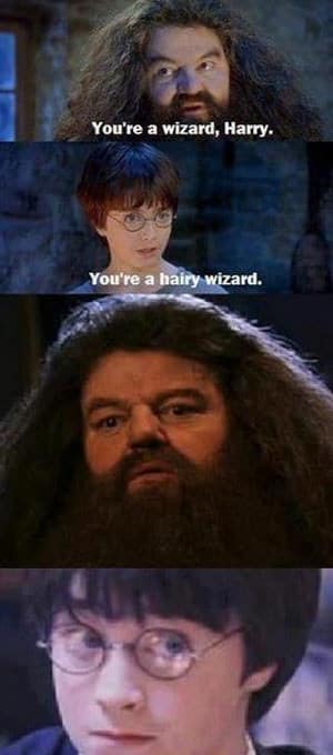  Harry & Hagrid meme