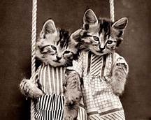  vintage gatos