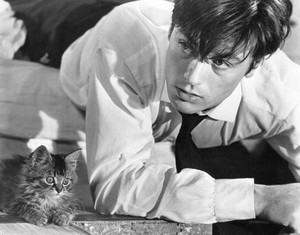  Alain Delon and His Cat 💙