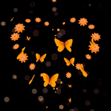  Beautiful butterflies for Berni 🦋