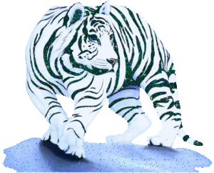  Bengal बाघों