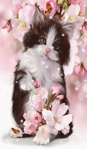 Cherry Blossom Cats For Kyara Sunshine 🌸