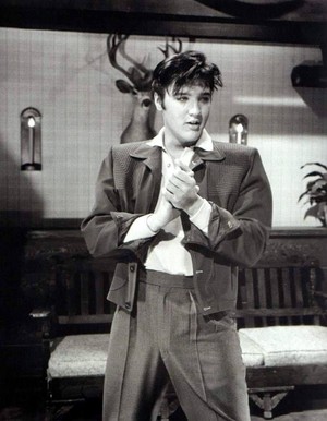  Elvis In Film 💛