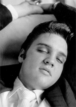  Elvis Sleeping 🌹