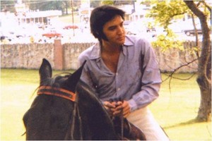  Elvis and his Horse 💛