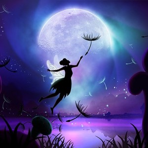 Fairy with the Moon 🌙