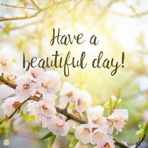  Have a great, wonderful, lovely, and beautiful day, Berni 🌸🌿