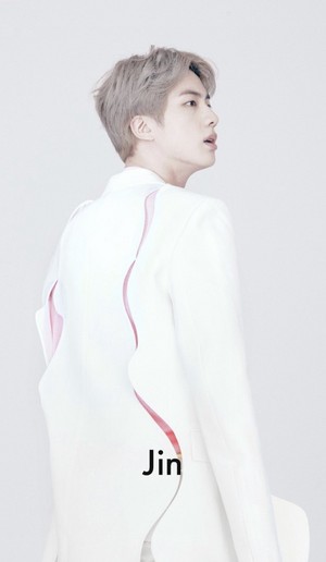  Louis Vuitton x 방탄소년단 | JIN