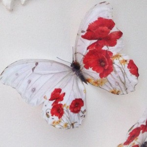  Pretty mariposas 💜