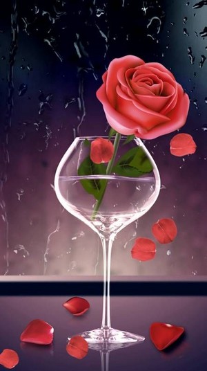 Rose in a Glass 🌹 