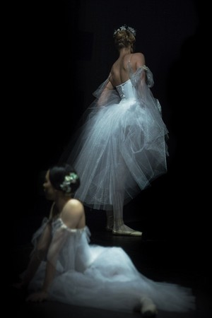  Beautiful Ballet Dancers 💜