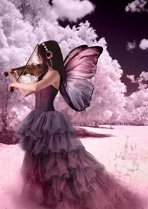  Beautiful Fairy For Alice💜