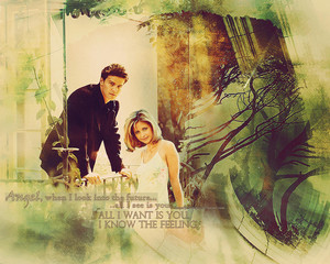  Buffy/Angel wallpaper - All I See Is te