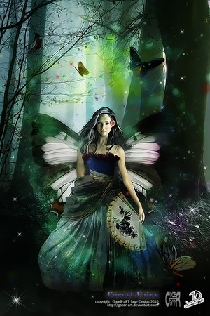  Fairy 🧚‍♀️