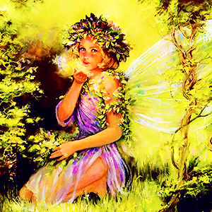  Fairy 🧚‍♀️