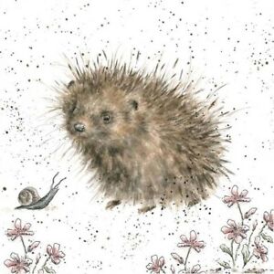  Hedgehog in Art 💖