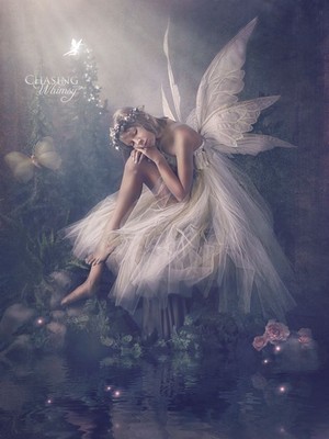  Pretty Fairy 💜