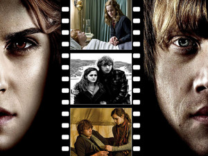  Ron/Hermione fondo de pantalla