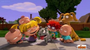  Rugrats - New کتے 246