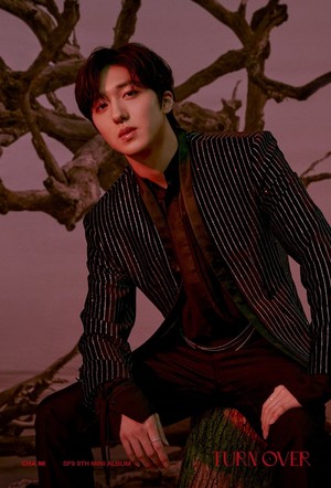 SF9 sparkle against a bare forest in 'Turn Over' concept images