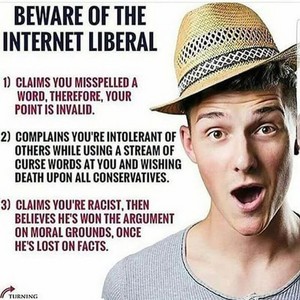  The internet liberal