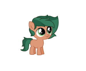 Timber spruce Foal ver.2