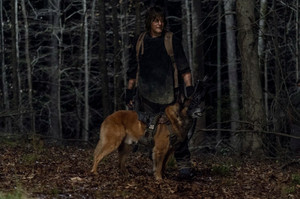 11x04 ~ Rendition ~ Daryl and Dog