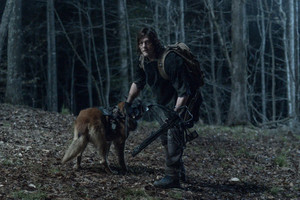  11x04 ~ Rendition ~ Daryl and Dog