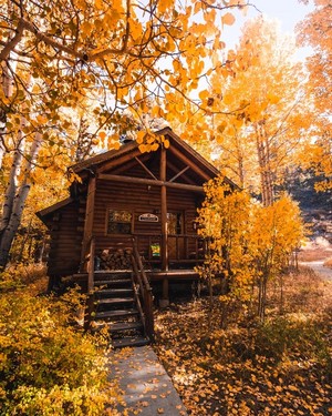  Autumn Cottage