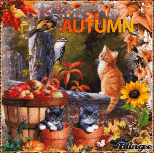  Autumn cuties🧡🍂