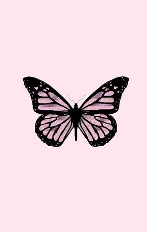 Butterfly(s) 🦋