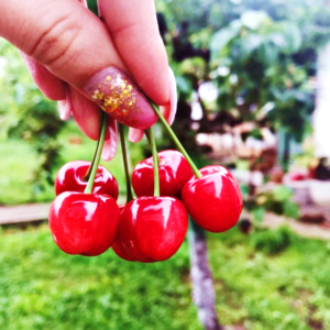  Cherries 🍒
