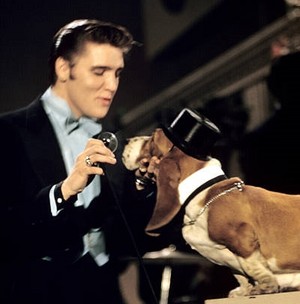Elvis Presley The Steve Allen Show Bound Dog